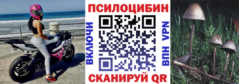 Псилоцибиновые грибы мухоморы  Ейск 